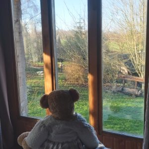 Cabane en bois avec vue sur la nature, un ours en peluche sur le fauteuil.