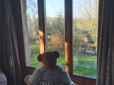 Cabane en bois avec vue sur la nature, un ours en peluche sur le fauteuil.