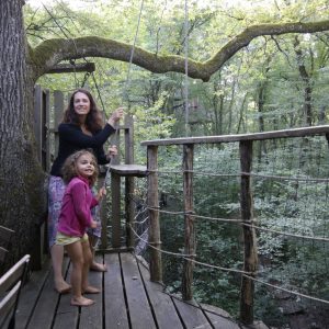 Cabane dans les arbres en Bourgogne-Franche-Comté, entourée de verdure et de nature.