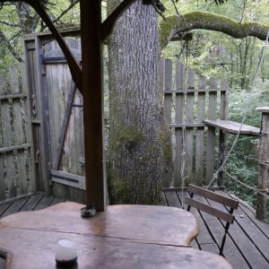 Cabane perchée dans les arbres, avec une vue sur la forêt verdoyante.