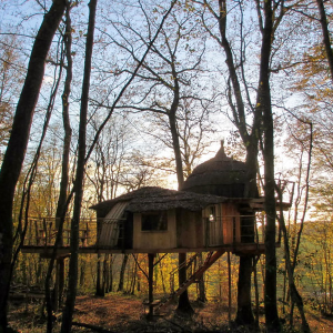 Cabane perchée dans les arbres, entourée de feuillage doré au coucher du soleil.