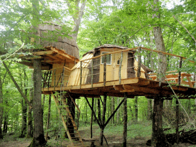 Cabane dans les arbres en Bourgogne-Franche-Comté, perchée au milieu des feuillus.