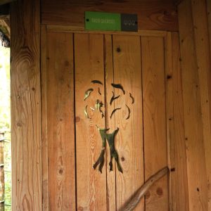 Cabane en bois avec une porte sculptée dun arbre, située en Bourgogne-Franche-Comté.