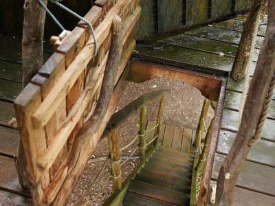 Escalier en bois menant à un hébergement insolite en cabane, ambiance nature.