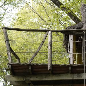 Cabane perchée en bois avec balcon, entourée de verdure en Bourgogne-Franche-Comté.