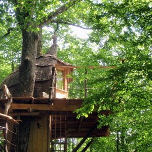 Cabane perchée dans les arbres, entourée de verdure luxuriante en Bourgogne-Franche-Comté.