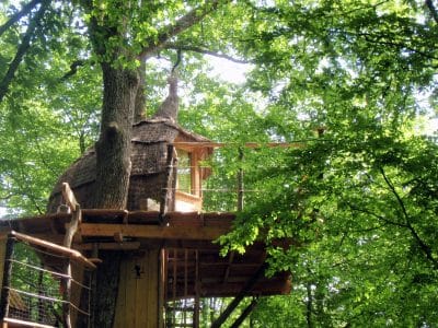 Cabane perchée dans les arbres, entourée de verdure luxuriante en Bourgogne-Franche-Comté.