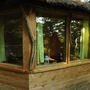 Cabane perchée en bois avec fenêtres en verre et rideaux verts, entourée de verdure.