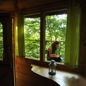 Cabane perchée en forêt, avec de grandes fenêtres et une vue verdoyante.