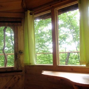 Intérieur dune cabane en bois avec fenêtres ouvertes sur la nature verdoyante.