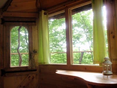 Intérieur dune cabane en bois avec fenêtres ouvertes sur la nature verdoyante.