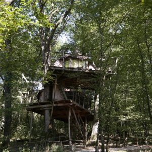 Cabane perchée dans les arbres, entourée de verdure en Bourgogne-Franche-Comté.
