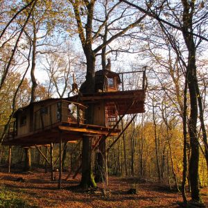 Cabane perchée dans les arbres, entourée de feuillage doré en Bourgogne-Franche-Comté.