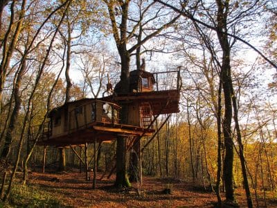 Cabane perchée dans les arbres, entourée de feuillage doré en Bourgogne-Franche-Comté.