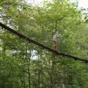 Hébergement insolite en cabane perchée, pont suspendu au milieu des arbres verdoyants.