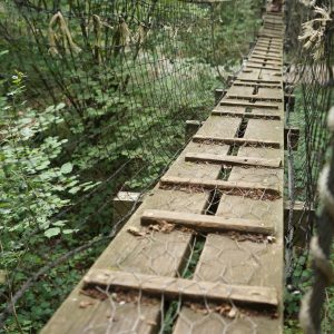Pont suspendu menant à un hébergement insolite en pleine nature en Bourgogne-Franche-Comté.