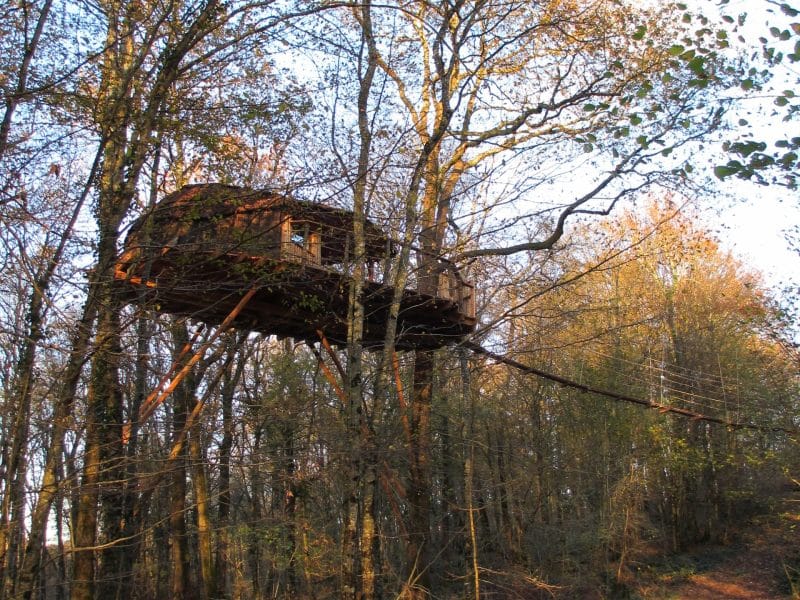Cabane perchée dans les arbres, entourée de feuillage automnal en Bourgogne-Franche-Comté.