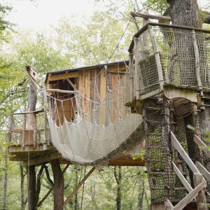 Cabane perchée dans les arbres avec un filet suspendu, entourée de verdure.