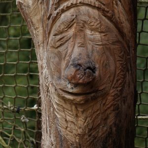 Hébergement insolite en bois sculpté, ambiance nature et chaleureuse en Bourgogne-Franche-Comté.