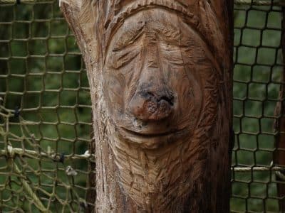 Hébergement insolite en bois sculpté, ambiance nature et chaleureuse en Bourgogne-Franche-Comté.