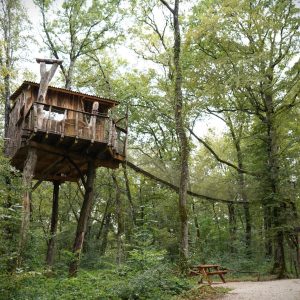 Cabane perchée dans les arbres, entourée de verdure luxuriante en Bourgogne-Franche-Comté.