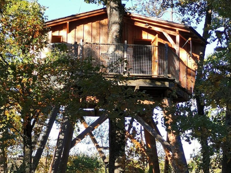 Cabane perchée dans les arbres, entourée de feuillage verdoyant en Auvergne-Rhône-Alpes.