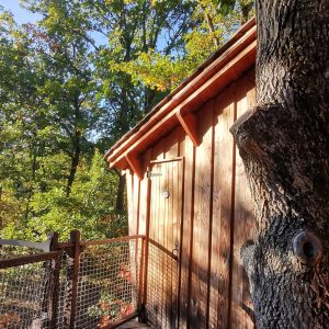 Cabane perchée en bois, entourée darbres verdoyants en Auvergne-Rhône-Alpes.