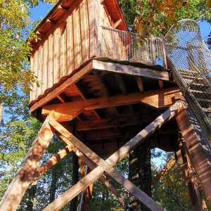 Cabane perchée en bois, entourée darbres, offrant une vue imprenable sur la nature.