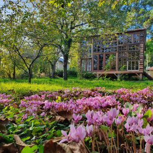 Cabane en bois avec grandes fenêtres, entourée de fleurs roses et verdure luxuriante.