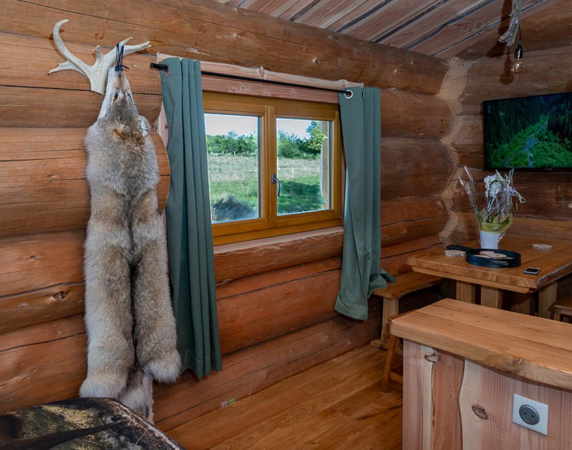 Cabane en bois avec décoration naturelle et vue sur la nature environnante.