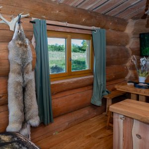 Cabane en bois avec décoration naturelle et vue sur la nature environnante.