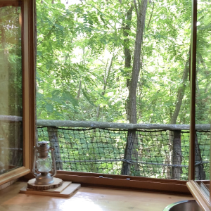 Cabane perchée dans les arbres, vue imprenable sur la forêt verdoyante.