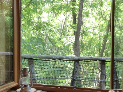 Cabane perchée dans les arbres, vue imprenable sur la forêt verdoyante.