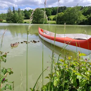 Hébergement insolite en Aquitaine, un canoë coloré amarré au bord dun lac verdoyant.