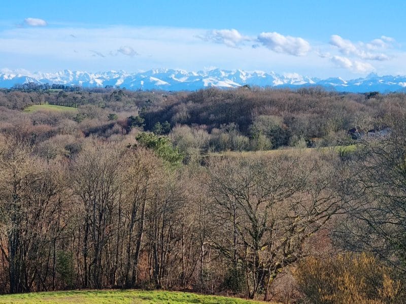 Gîte rural avec vue panoramique sur les montagnes enneigées et la nature verdoyante.