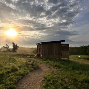 Cabane en bois perchée, entourée de verdure, au coucher de soleil en Aquitaine.