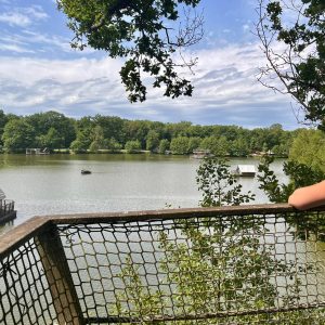 Cabane flottante au bord dun lac, entourée de verdure et de calme.