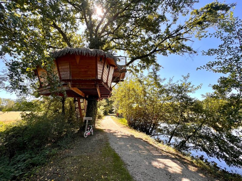 Cabane perchée dans un arbre, entourée de verdure et proche dun chemin paisible.