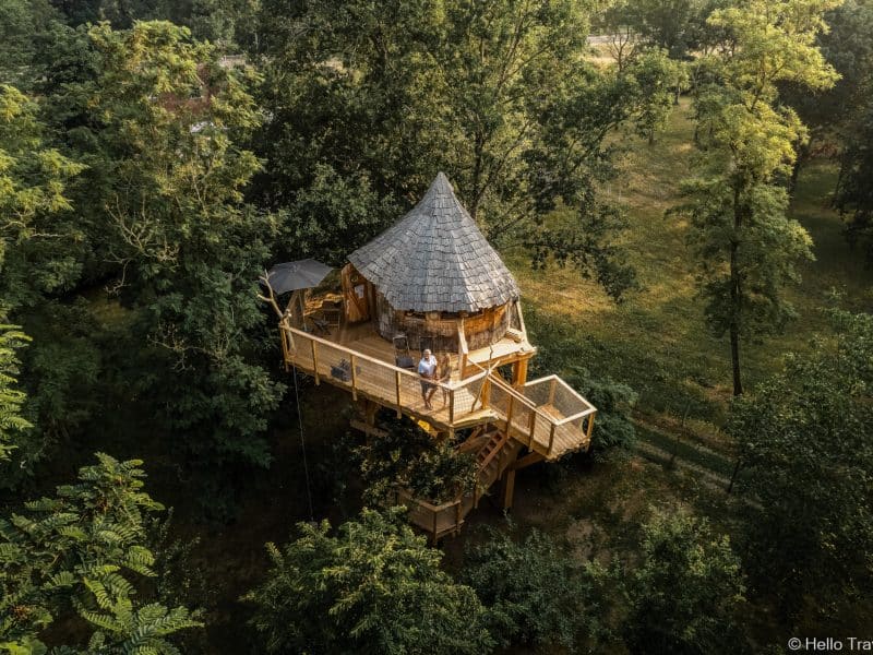 Cabane dans les arbres avec toit en chaume, entourée de verdure luxuriante.