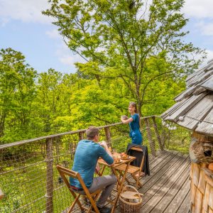 Cabane perchée dans les arbres, vue panoramique sur la nature verdoyante.