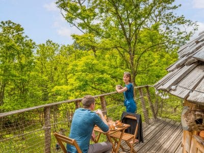 Cabane perchée dans les arbres, vue panoramique sur la nature verdoyante.