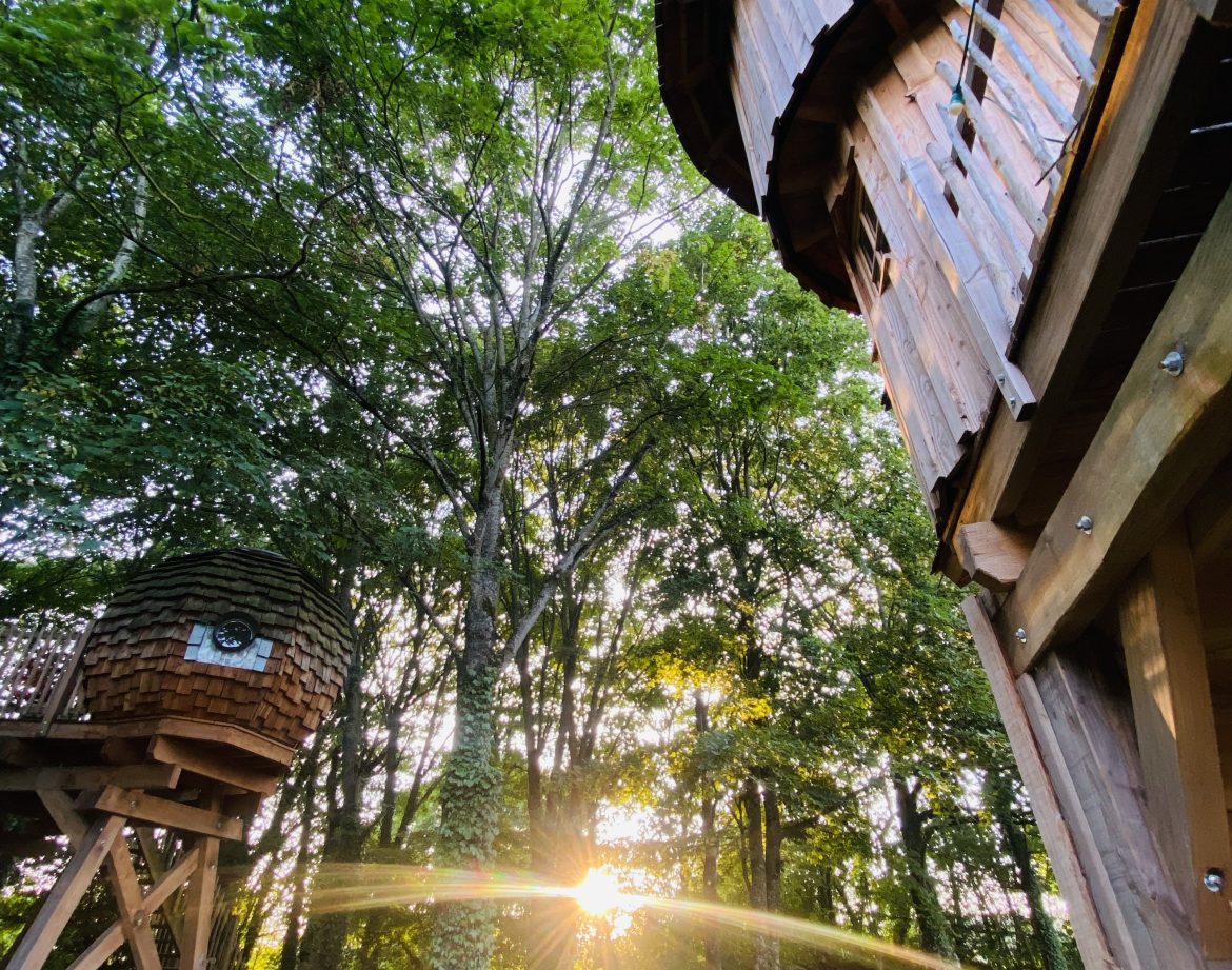 Cabane perchée en bois en Bretagne, entourée darbres, avec un coucher de soleil.