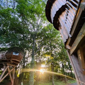Cabane perchée en bois en Bretagne, entourée darbres, avec un coucher de soleil.
