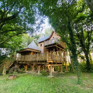 Cabane perchée en bois, entourée darbres verdoyants en Bretagne.
