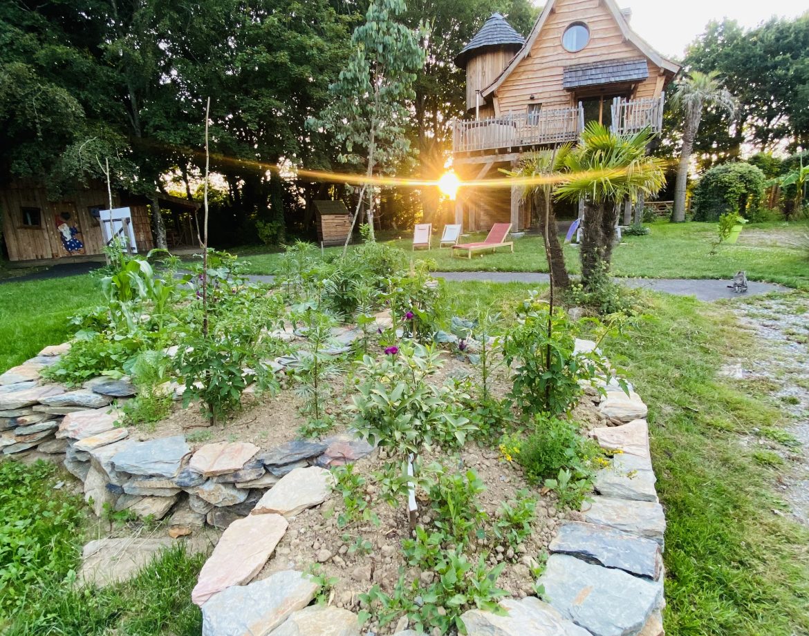 Cabane en bois en Bretagne, entourée de jardins fleuris et dune lumière dorée.