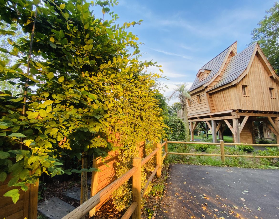 Cabane perchée en bois en Bretagne, entourée de verdure luxuriante et dune clôture en bois.