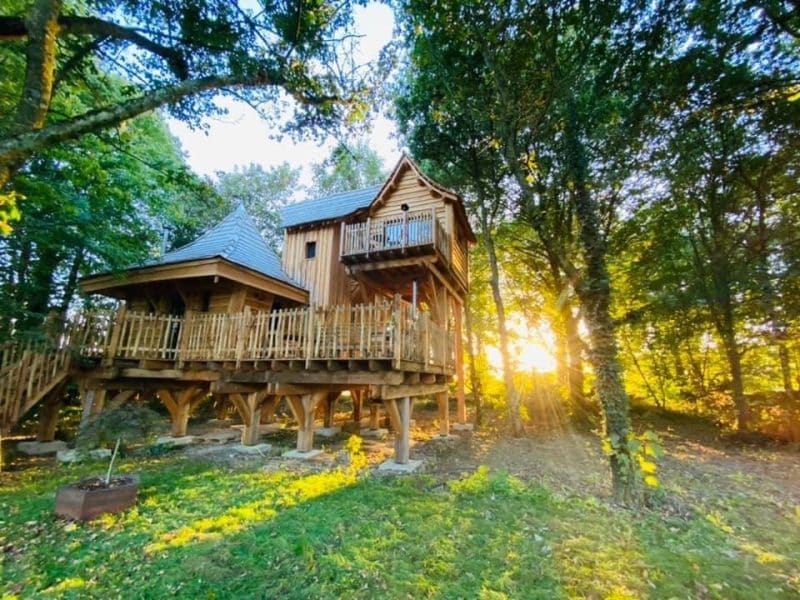 Cabane perchée en bois en Bretagne, entourée darbres et baignée de lumière dorée.