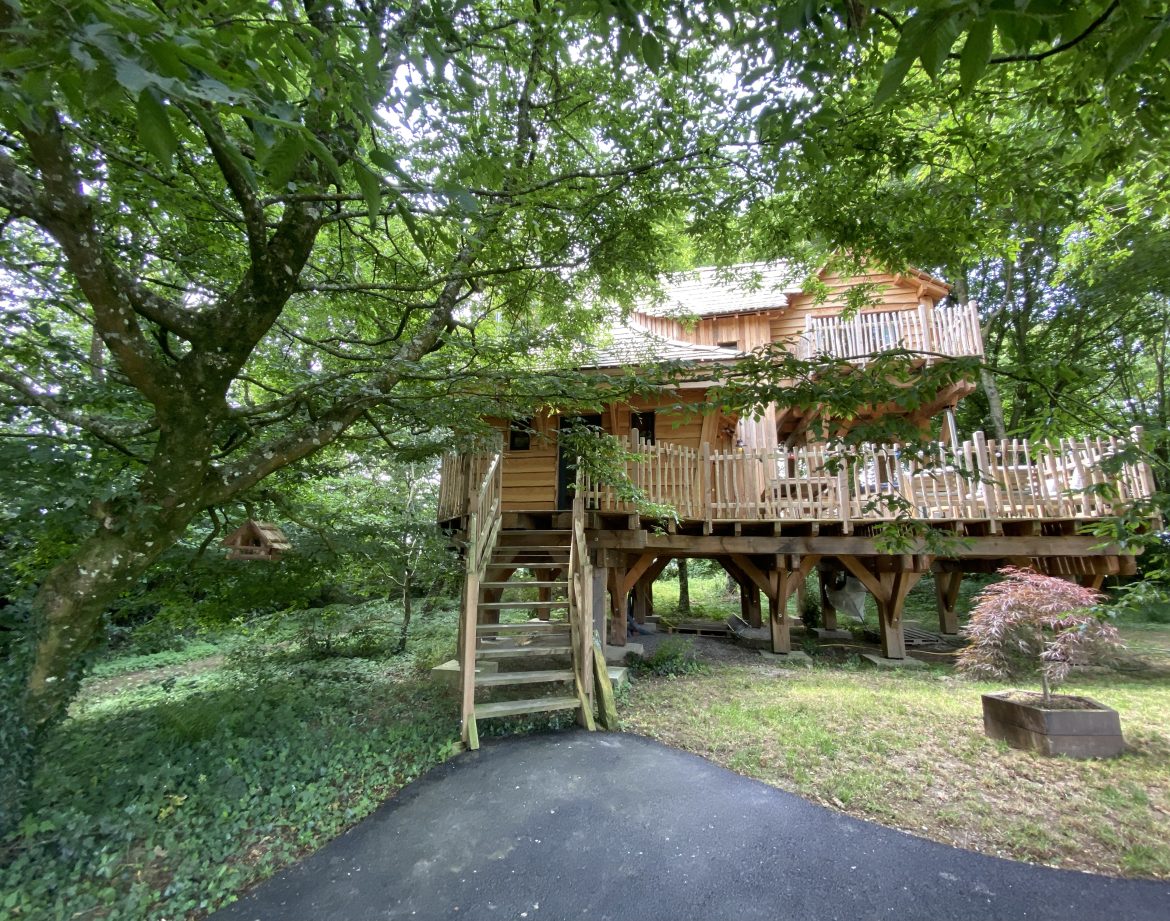Cabane perchée en Bretagne, entourée darbres verdoyants et avec une terrasse en bois.