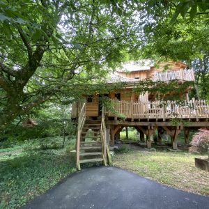 Cabane perchée en Bretagne, entourée darbres verdoyants et avec une terrasse en bois.