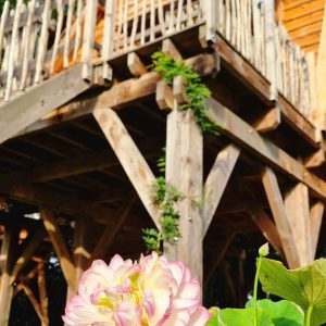 Cabane en bois sur pilotis en Bretagne, avec une fleur de lotus en premier plan.